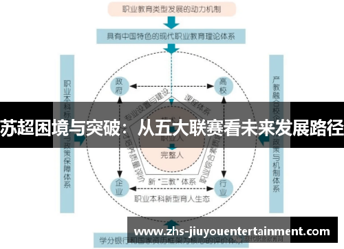 苏超困境与突破：从五大联赛看未来发展路径